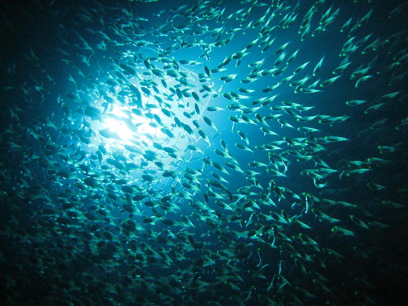 2009-12-03 09-42-51S.JPG